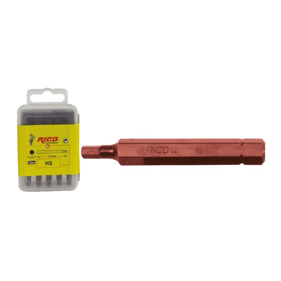 RİCO Allen Bits Uç H.10X75 mm Titanyum Kaplamalı 10 Adet