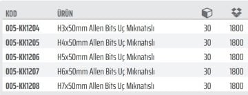 Rico 1/4 Allen Bits Uç 50mm (30 Adet)