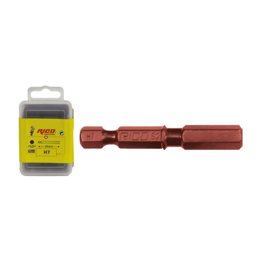 Rico 1/4 Allen Bits Uç 50mm (30 Adet)