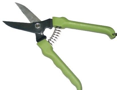 GREEN GUARD Düz Çiçek Makası / 12 Adet