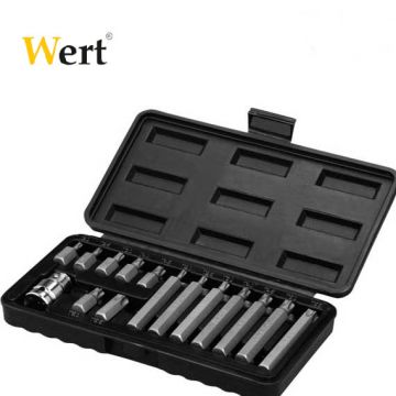 WERT W 2243 Torx Bits Uç Seti (15 Parça)