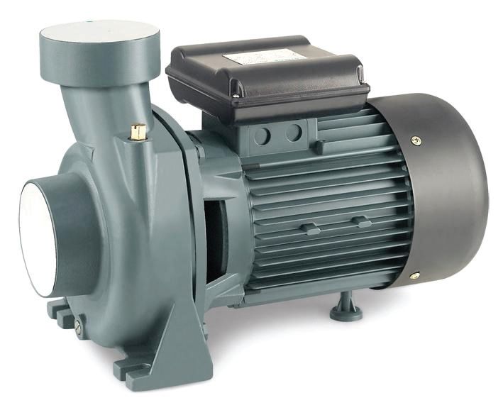 RAIN PUMP  Santrifuj Pompası / 220 Volt
