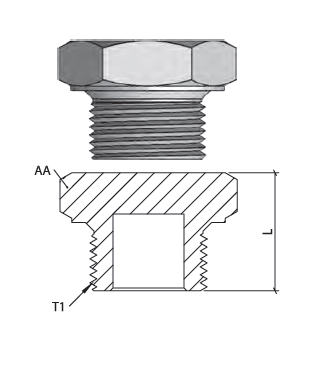BSP TAPA