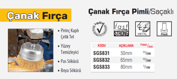 SGS Çanak Fırça Pimli Saçaklı