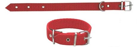 ÖZEGE Hayvan Tasması 40 cm (50 Adet)