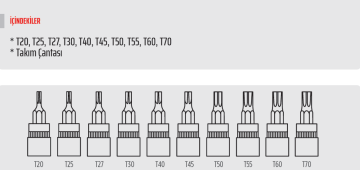 RICO 10 PC TORX LOKMA SETİ (007-RC4510)