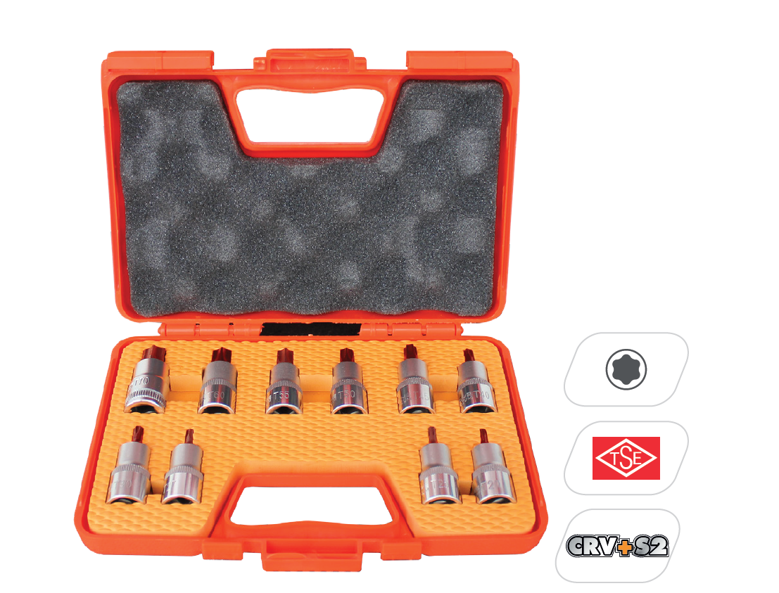 RICO 10 PC TORX LOKMA SETİ (007-RC4510)