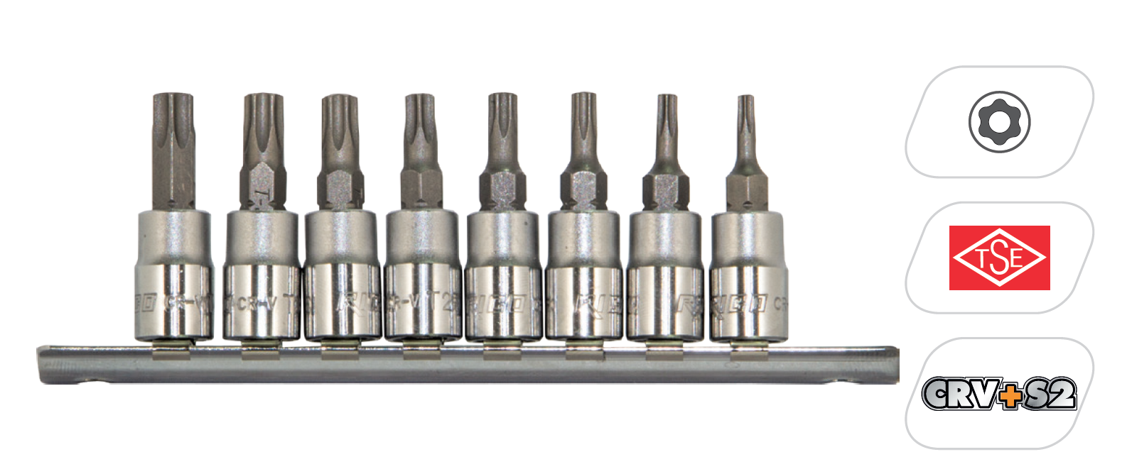 RICO 8 PC 1/4 LOKMALI DELİKLİ TORX UÇ SETİ