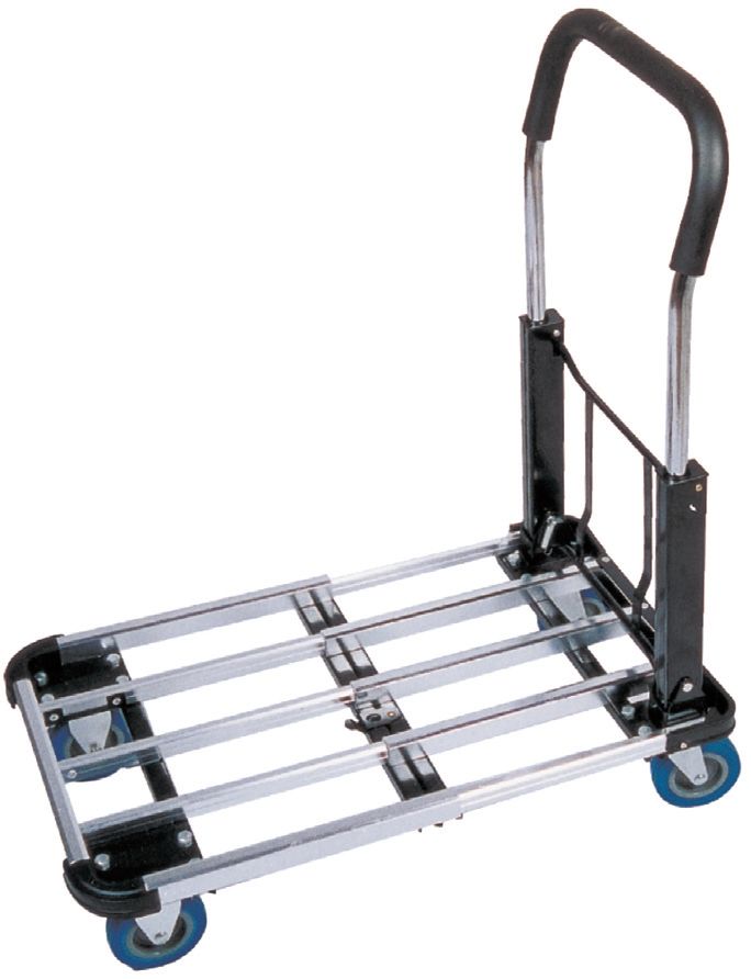 BIGLIFT RM-JZS150 El Arabası 90 kg