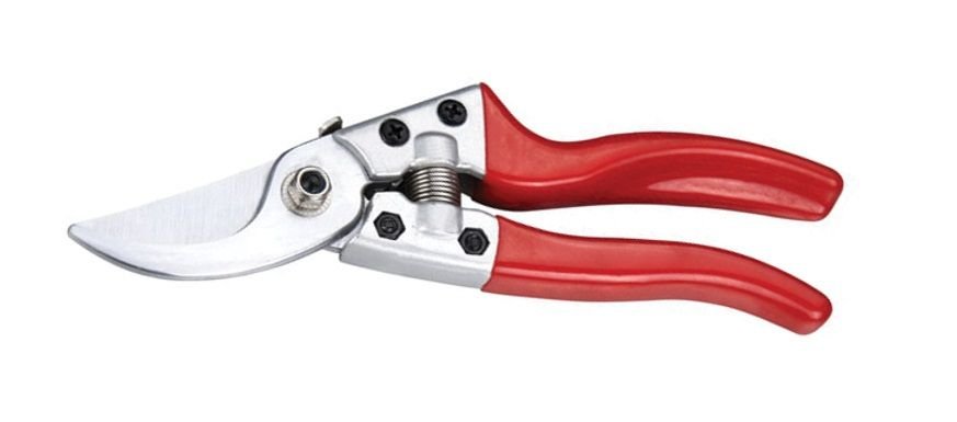 RONEY BUDAMA MAKASI 8''
