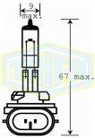TRİFA H27 Halojen Ampul 12 Volt 27 Watt (881) (10 Adet)