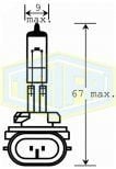 TRİFA H27 Halojen Ampul 12 Volt 27 Watt (881) (10 Adet)
