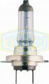 TRİFA H7 Halojen Ampul 24 Volt 100 Watt (10 Adet)