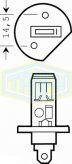 TRİFA H1 Halojen Ampul 24 Volt 70 Watt (10 Adet)
